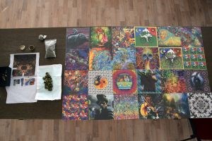 Slika Fotografije/LSD 2015/LSD M.jpg